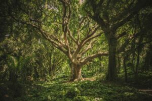 eco-friendly travel tips
