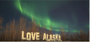 Large outdoor “LOVE ALASKA” sign in bold white letters set against a backdrop of trees and reflected in a small pond at Pike’s Waterfront Lodge with the aurora borealis high above.