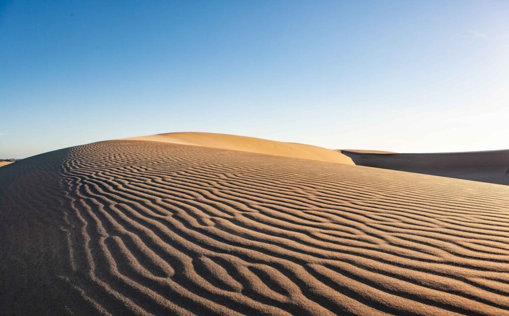 Golden sand dunes shaped by the wind, their ridges creating patterns under the soft light of early morning or late afternoon, with a clear blue sky above.