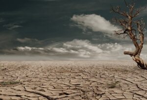 A desolate cracked desert floor stretches endlessly under a dark, cloudy sky, with a single dead tree standing starkly on the right side.