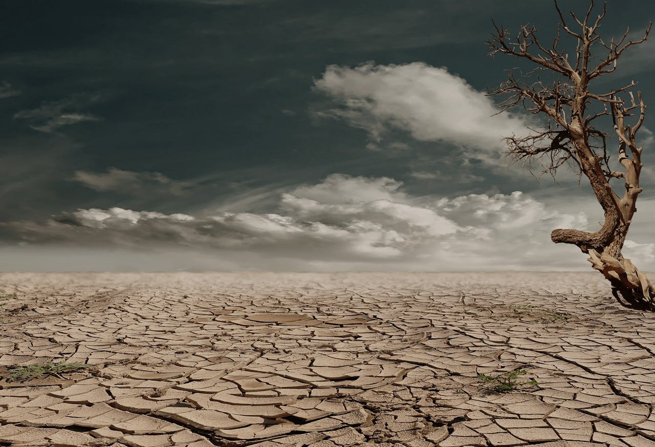 A desolate cracked desert floor stretches endlessly under a dark, cloudy sky, with a single dead tree standing starkly on the right side.