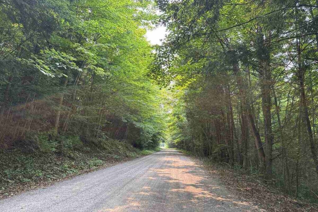 Things to do in Port Hope