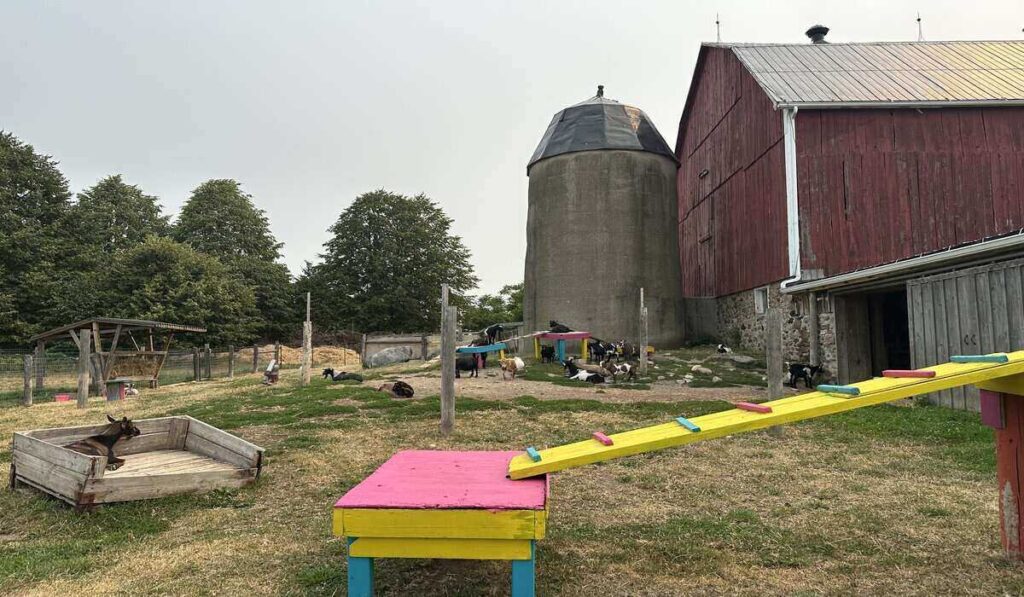 Things to do in Port Hope Ontario