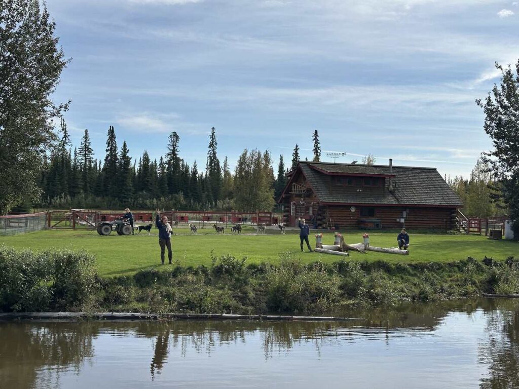 Dog mushing demonstration at Susan Butcher’s Trail Breaker Kennel, with huskies and handlers on a grassy field by the Chena River.