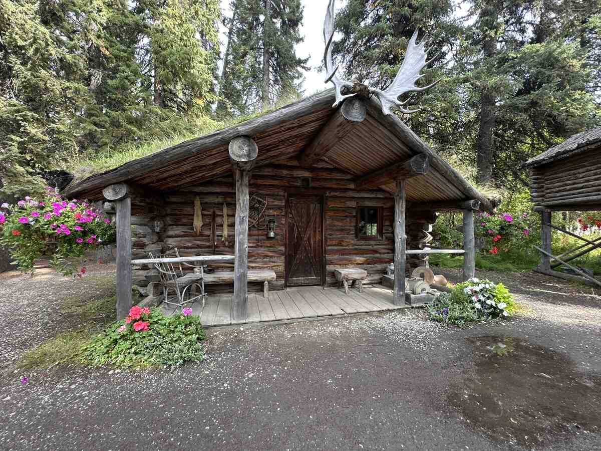 Traditional log cabin with sod roof at the recreated Chena Athabascan Village near Fairbanks, Alaska. The rustic cabin is surrounded by flowers and features moose antlers mounted above the porch.