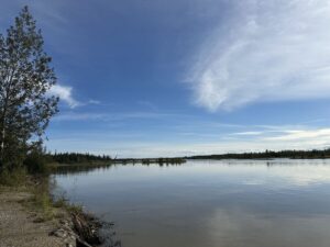 Wide view of the Chena River under a clear blue sky in Fairbanks, Alaska. Calm waters reflect the clouds and tree-lined shoreline, evoking the region’s natural beauty.