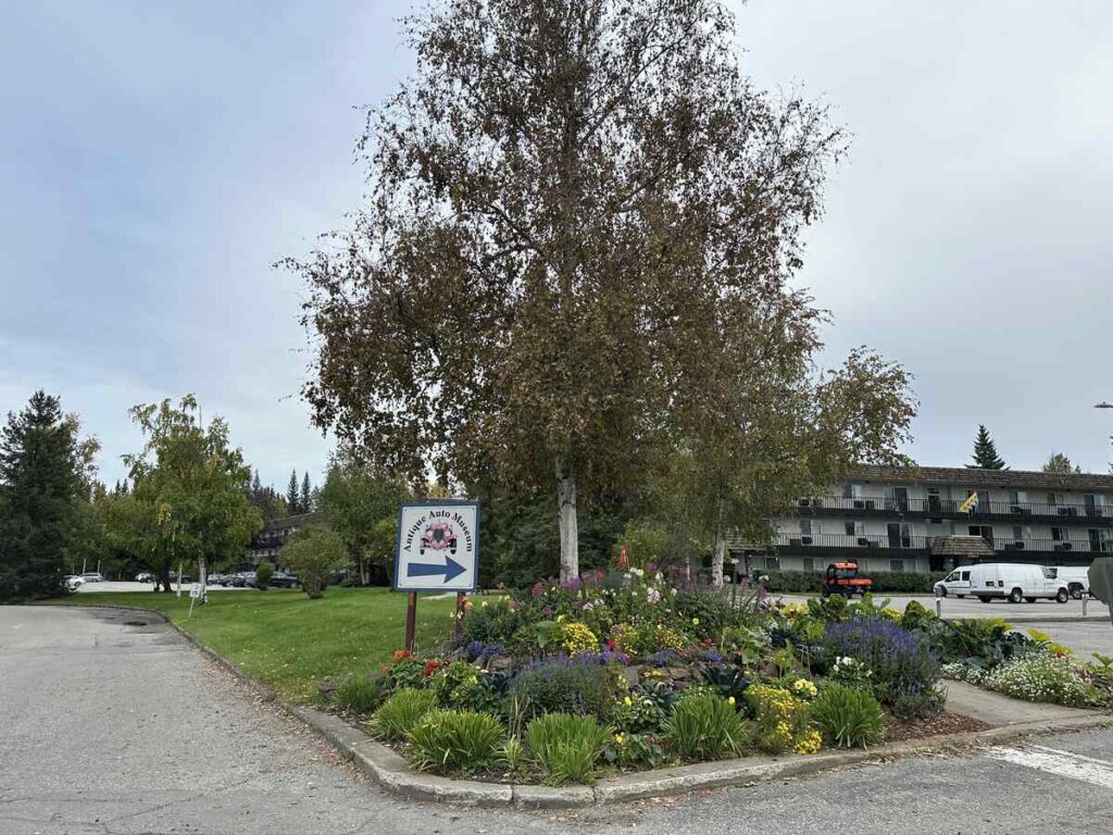A directional sign for the Fountainhead Antique Auto Museum stands in a quiet Fairbanks residential neighbourhood, framed by colourful garden beds.