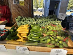 Close-up of zucchini, summer squash, pickling cucumbers, and Brussels sprouts on display.