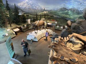 Interior of the Denali Visitor Center with a life-size moose diorama, wildlife displays, and murals of the Alaska Range; visitors reading exhibits.