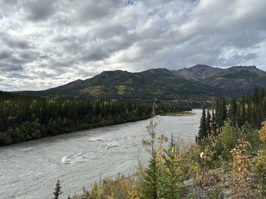 Broad glacial river curving past dense spruce with rounded peaks and textured cloud ceiling beyond.