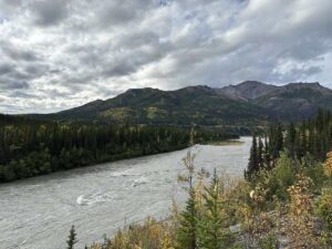 Broad glacial river curving past dense spruce with rounded peaks and textured cloud ceiling beyond.