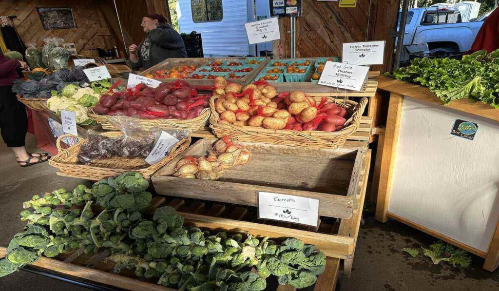 Baskets of potatoes, tomatoes, cabbages, beets, and leafy greens at a produce stand.
