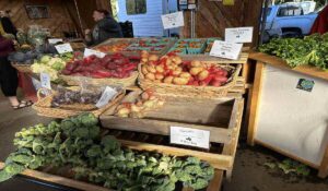 Baskets of potatoes, tomatoes, cabbages, beets, and leafy greens at a produce stand.