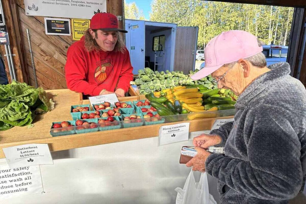 Brad St. Pierre in a red hoodie stands behind baskets of greens, berries, squash, cucumbers, and Brussels sprouts while a shopper pays at the Tanana Valley Farmers Market.