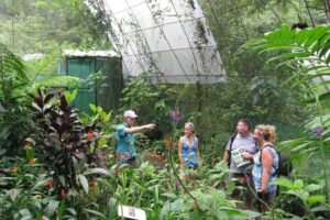 A guide leads a small group through a lush butterfly conservatory in Costa Rica, surrounded by tropical plants and flowering vines.