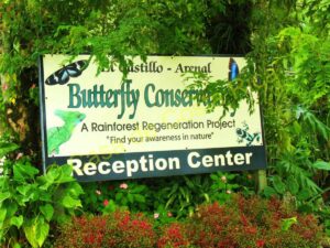 Sign reading “El Castillo – Arenal Butterfly Conservatory: A Rainforest Regeneration Project” surrounded by dense tropical plants.