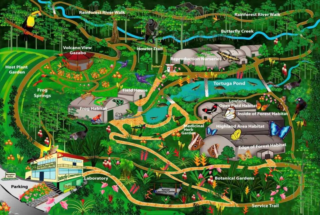 Colourful illustrated map showing rainforest trails, frog habitats, botanical gardens, and butterfly enclosures at the Arenal Butterfly Conservatory.