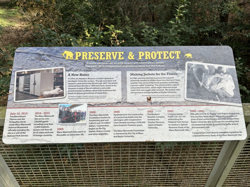 Another wide interpretive sign titled “Preserve & Protect” sits on a metal railing, framed by trees. It includes a photo of fossil storage cabinets, an image of a fossil wrapped in a plaster “jacket,” and a timeline of conservation milestones along the bottom. The text describes how scientists protect the bones and how the site became a national monument.
