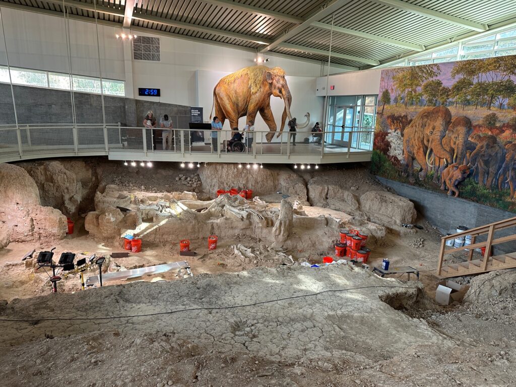 Wide panorama of the main dig shelter showing a large excavation pit in the foreground, dotted with mammoth bones and orange buckets. In the background, visitors stand along the upper boardwalk near a life-sized painting of a mammoth and a colourful mural of a herd in a grassy landscape. Natural light streams in from high windows above.