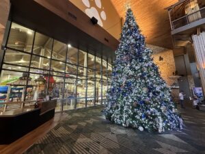 A towering, blue-and-silver Christmas tree glows in the lobby of Great Wolf Lodge, with floor-to-ceiling windows revealing the colourful indoor waterpark and slides just beyond the glass.