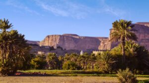 A lush oasis town framed by palm trees and golden cliffs under a clear blue sky, hinting at both human settlement and the power of its surrounding desert.