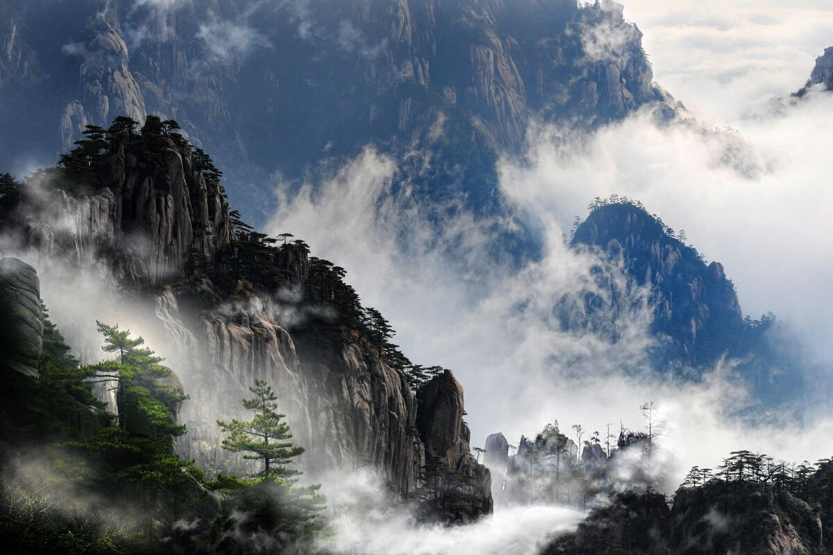 Misty granite peaks and pine trees in Huangshan Mountains, Anhui Province, China.