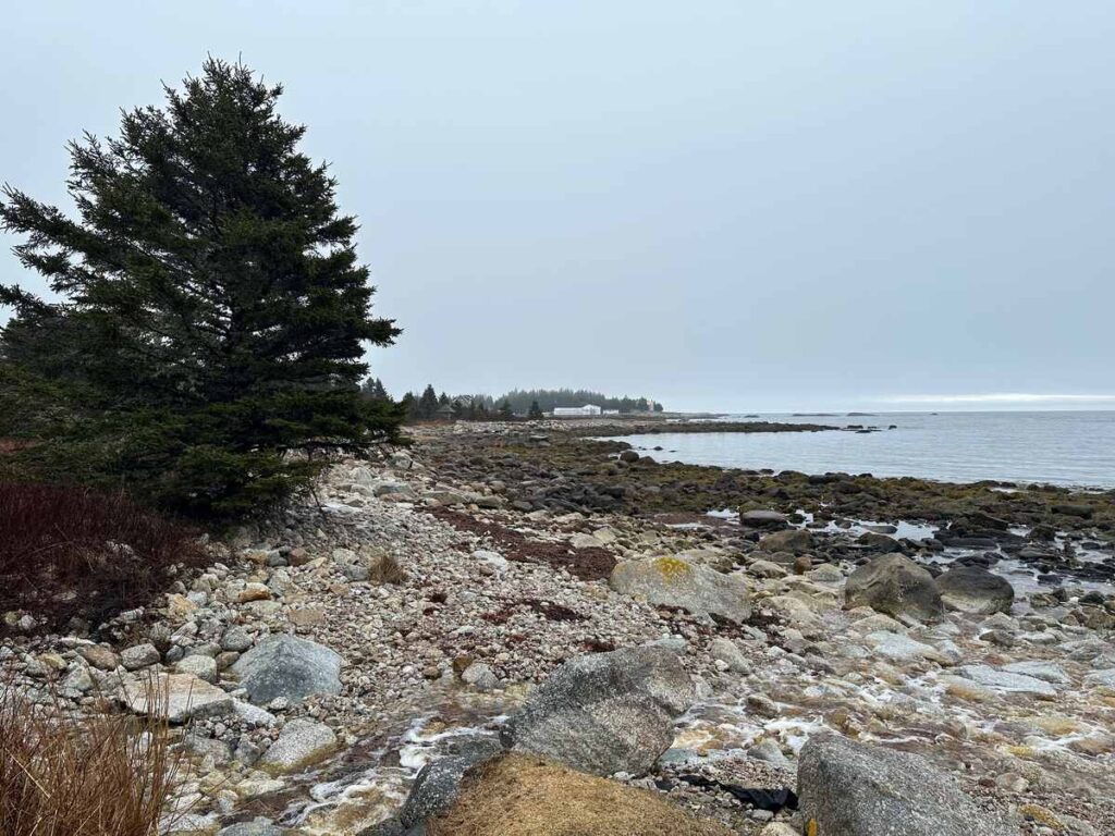 Rocky shoreline and evergreen trees along the coast near Oceanstone Seaside Resort in Indian Harbour, Nova Scotia.