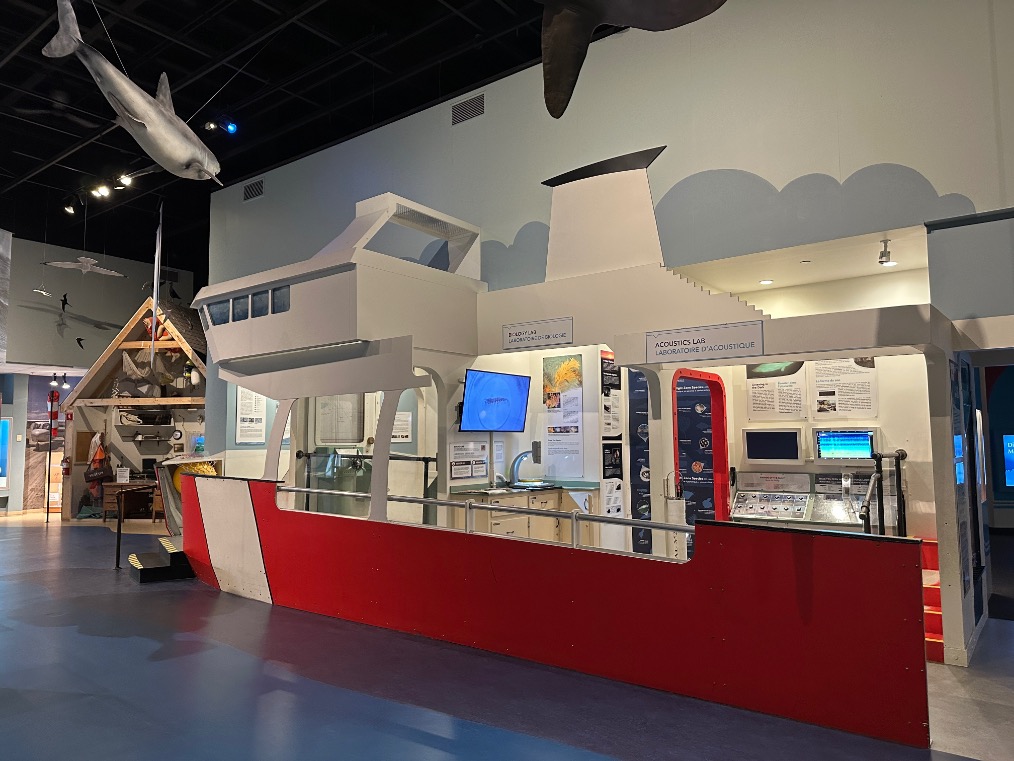 Boat-shaped interactive exhibit inside the Museum of Natural History in Halifax.