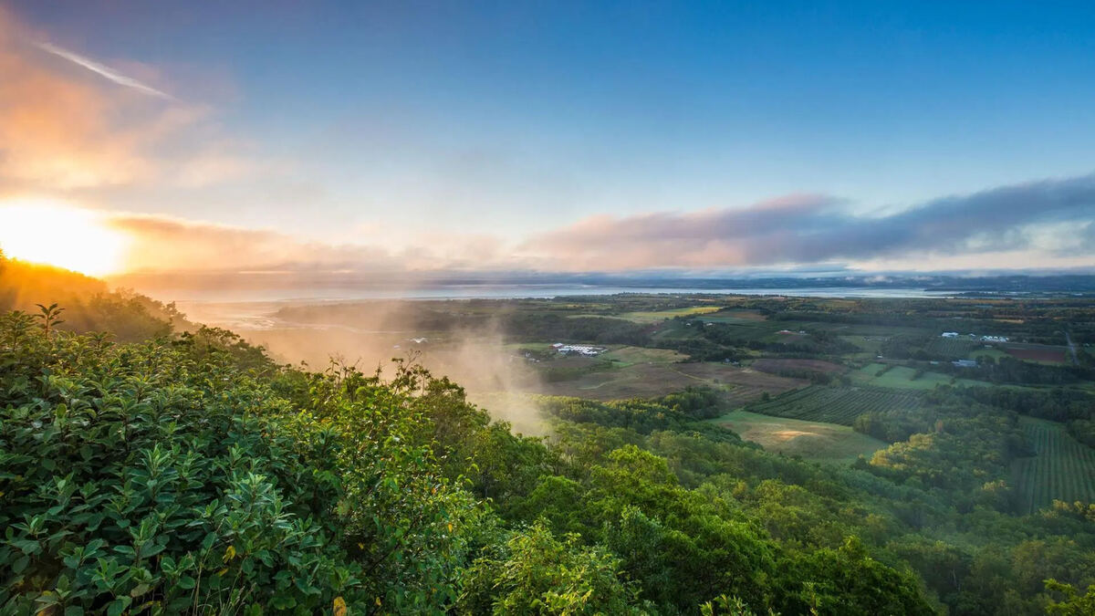 Elevated view over the Annapolis Valley at sunrise, with soft mist rising above green fields and trees, and water visible in the distance under a blue and gold sky.