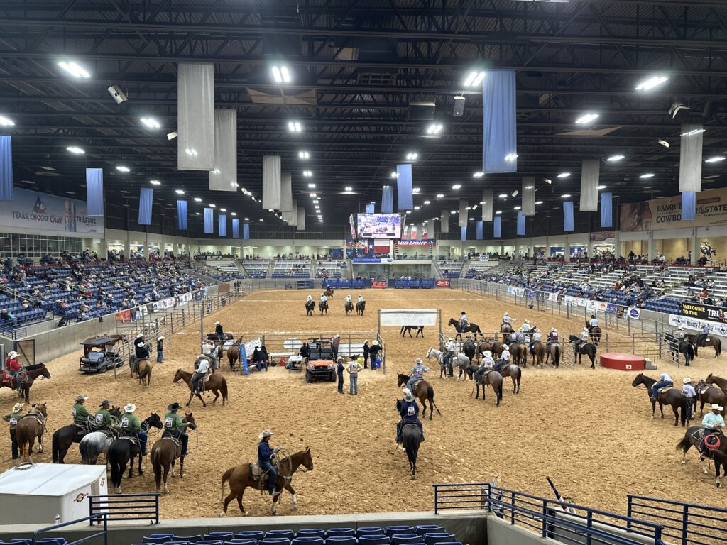 Arena view of the West Texas Ranch Rodeo in Amarillo with cowboys on horseback gathered around cattle during a ranch skills event.