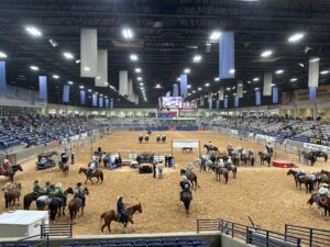 Arena view of the West Texas Ranch Rodeo in Amarillo with cowboys on horseback gathered around cattle during a ranch skills event.