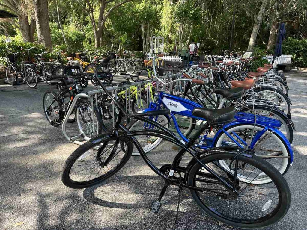 Rows of different bicycles available to rent at Celebration Bike Rental, including cruiser bikes, children’s bikes, and bikes with baskets.