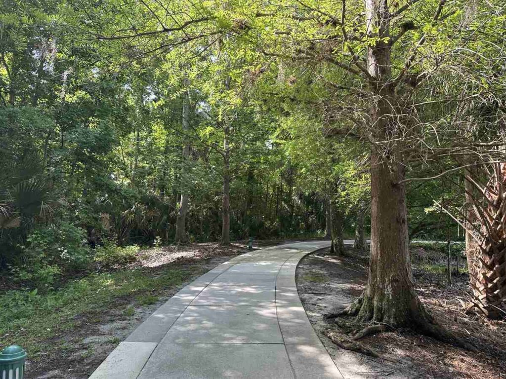 Curving paved pathway through a quiet wooded area with tall trees and green foliage in Kissimmee.