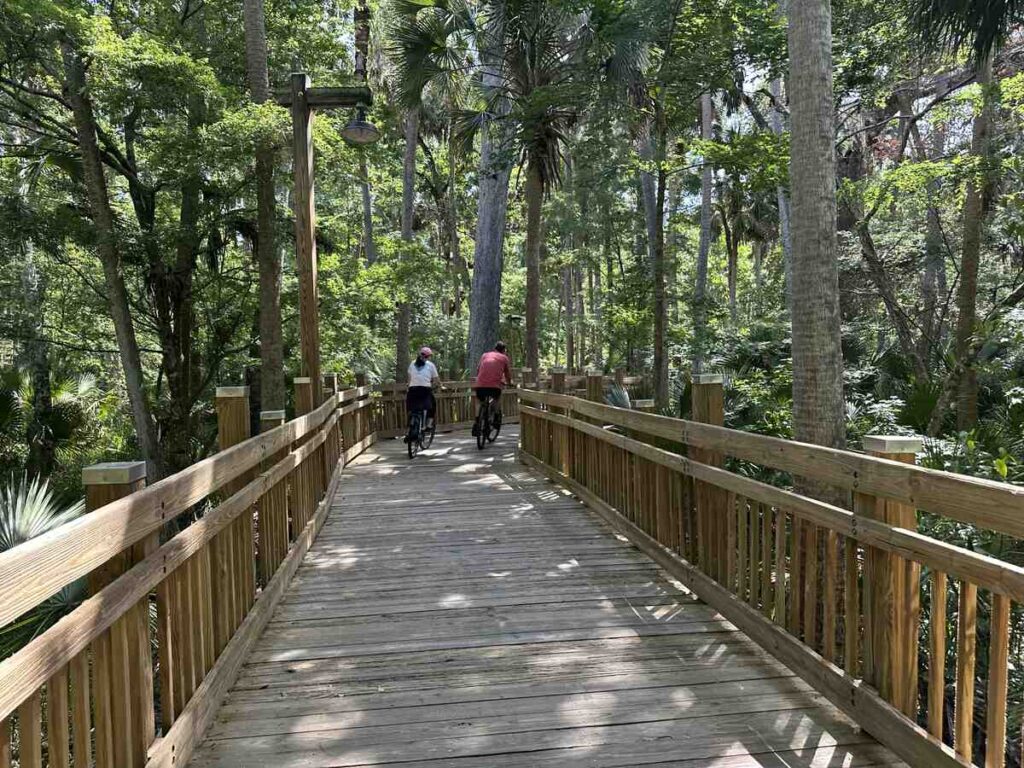 Two cyclists riding across a wooden boardwalk surrounded by tall trees and palms.