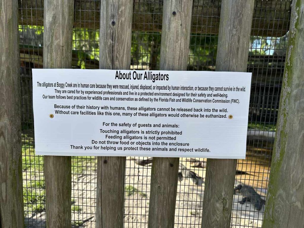 Sign at Boggy Creek explaining that the alligators are in human care because they were rescued, injured, displaced, or unable to survive in the wild.