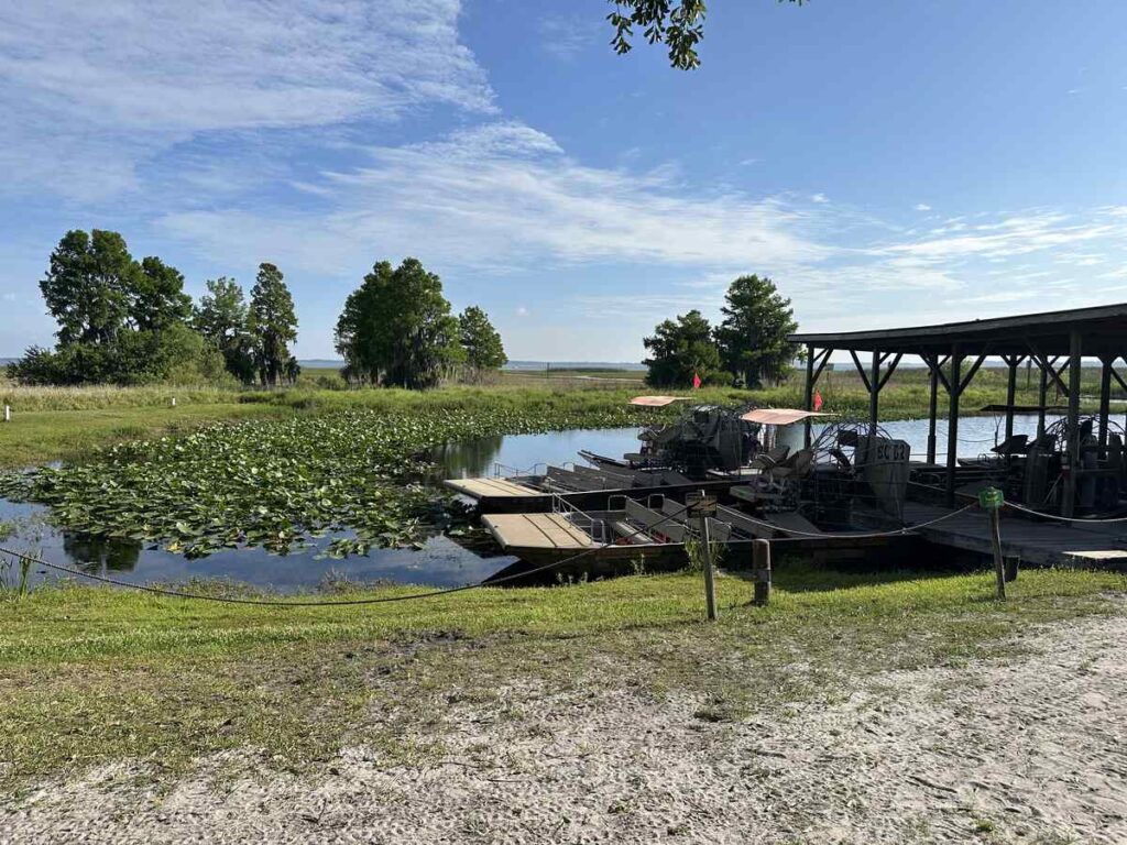 Airboats docked beside lily pads and marshland at Boggy Creek Airboat Adventures.