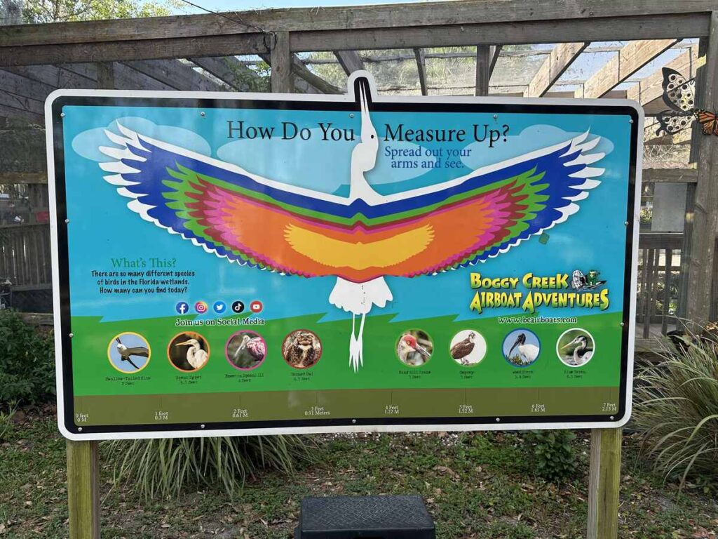 Colourful sign at Boggy Creek comparing the wingspans of Florida wetland birds.