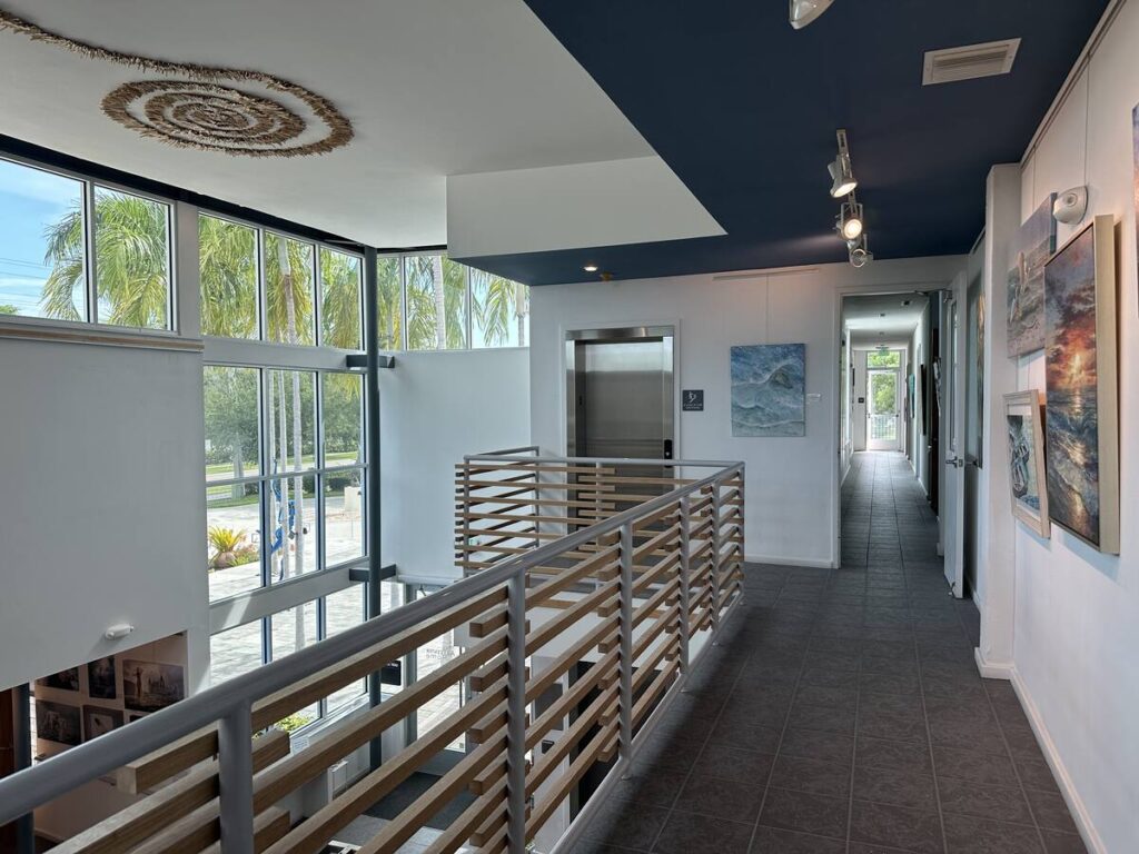 Bright upper gallery walkway with artworks, palm trees visible through tall windows, and a blue ceiling accent.