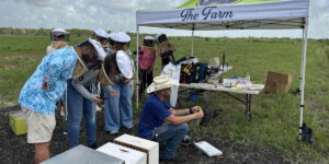 Participants wearing bee veils gather under a tent during The Summer Hive class at The Farm at Newfield in Palm City, Florida.