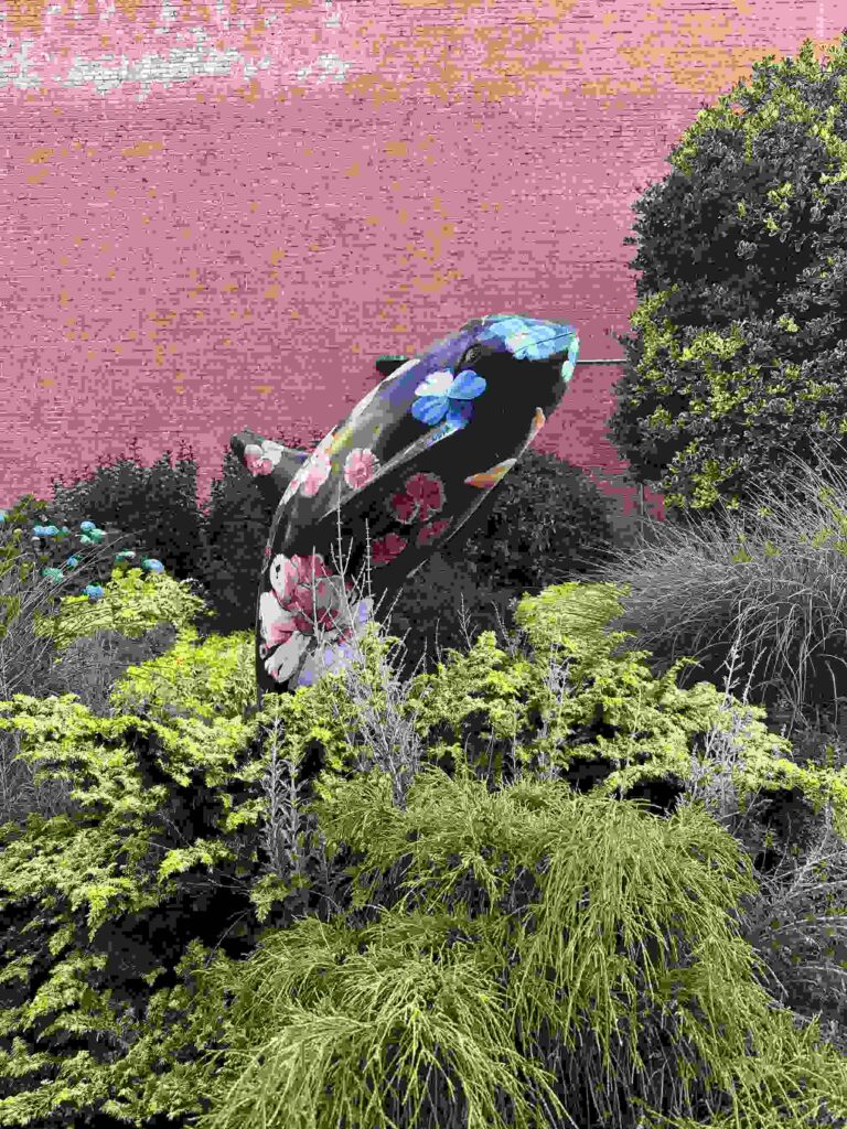 Black orca sculpture painted with colourful flowers in a landscaped Victoria garden.