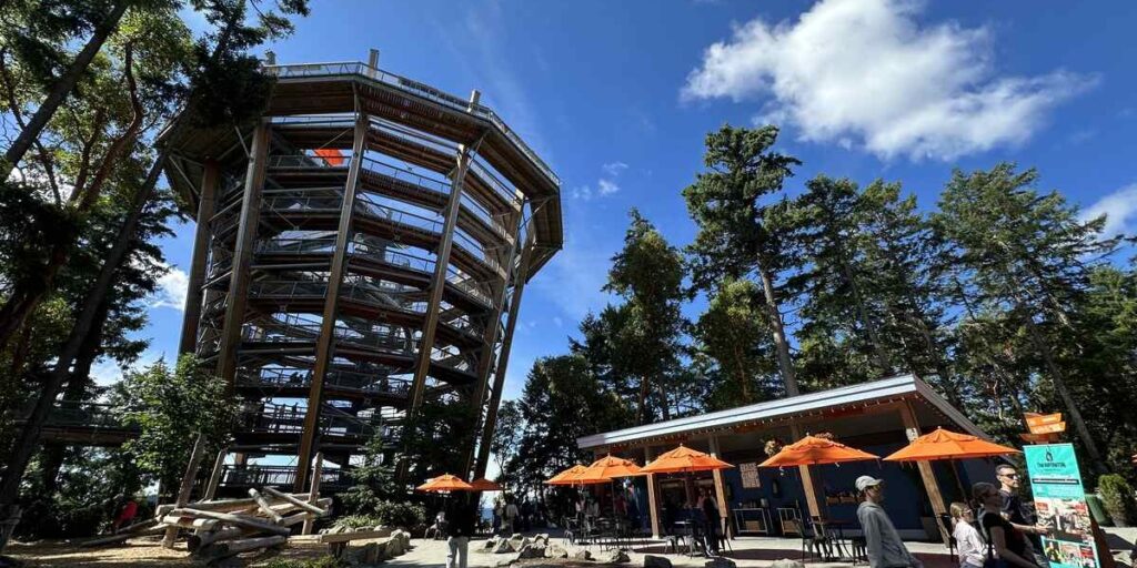 Malahat SkyWalk Spiral Tower rising above the forest on Vancouver Island.