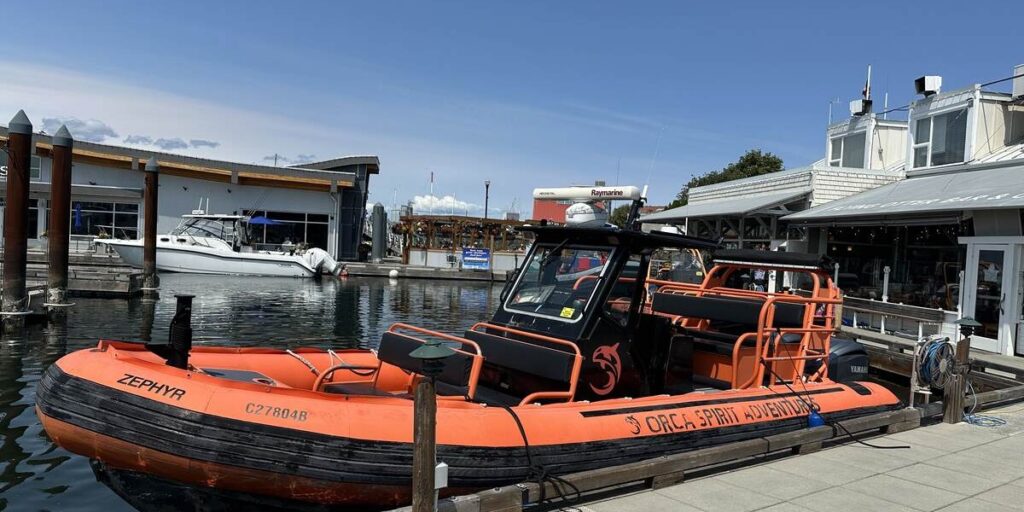 Orange Orca Spirit Adventures whale-watching boat docked in Victoria Harbour.