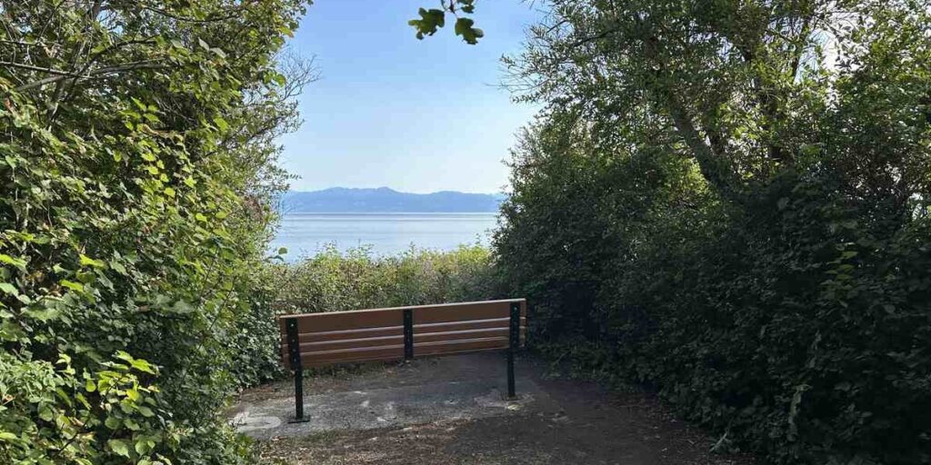 Bench surrounded by greenery overlooking the ocean and mountains in Victoria, BC.